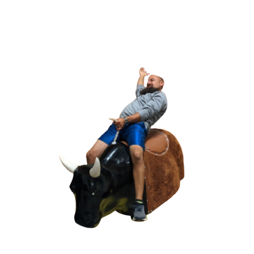 Mechanical Bull RIde Rental