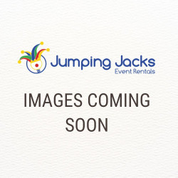 22ft Sonic Surge Slide (Wet or Dry)